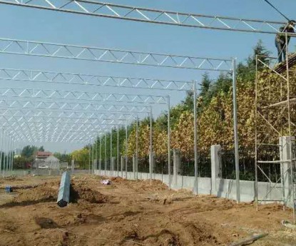 連棟薄膜溫室