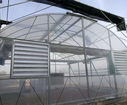連棟薄膜溫室