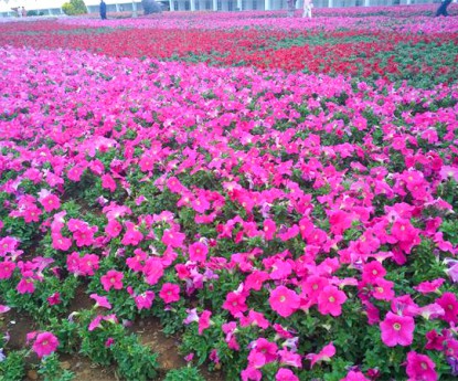 牽?；ɑê?></div>

                <div   id=