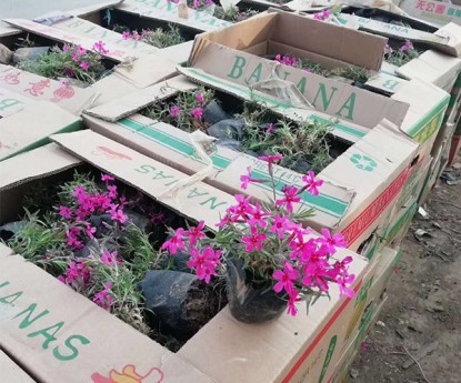 發(fā)貨現(xiàn)場(chǎng)