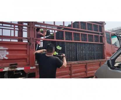 發(fā)貨現(xiàn)場(chǎng)