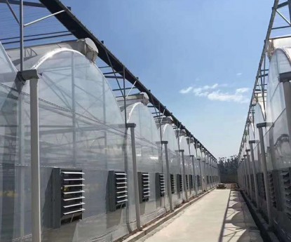 連棟薄膜溫室