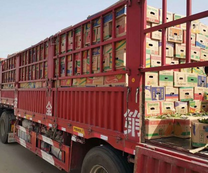 發(fā)貨現(xiàn)場(chǎng)