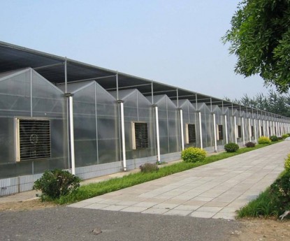 陽(yáng)光板溫室