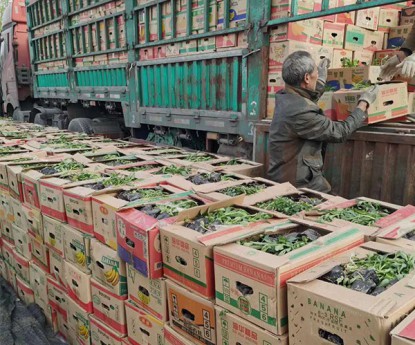 發(fā)貨現(xiàn)場(chǎng)