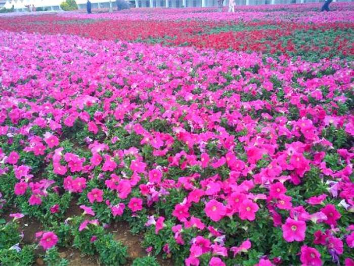 牽?；ɑê? style=